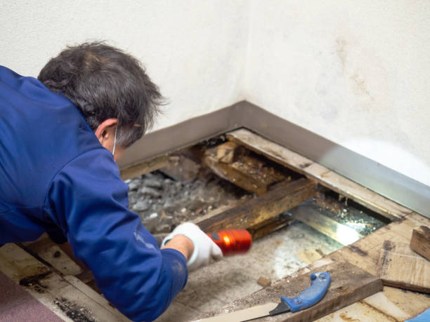 Best Mold Testing  in Victorville, CA