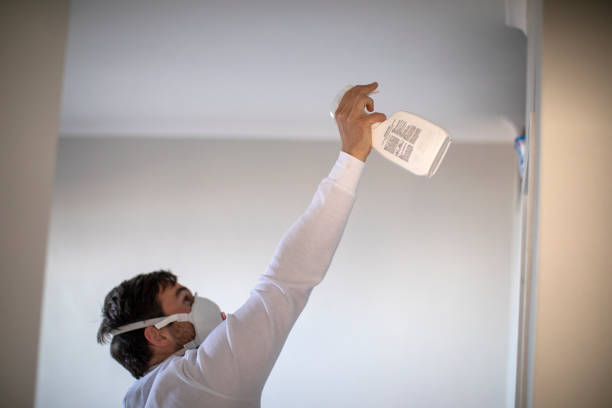 Best Mold Removal Company Near Me  in Victorville, CA