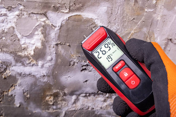 Office Mold Removal Services in Victorville, CA