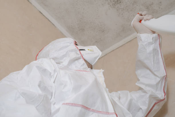 Victorville, CA Mold Removal Company