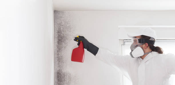 Best Fast Mold Removal  in Victorville, CA