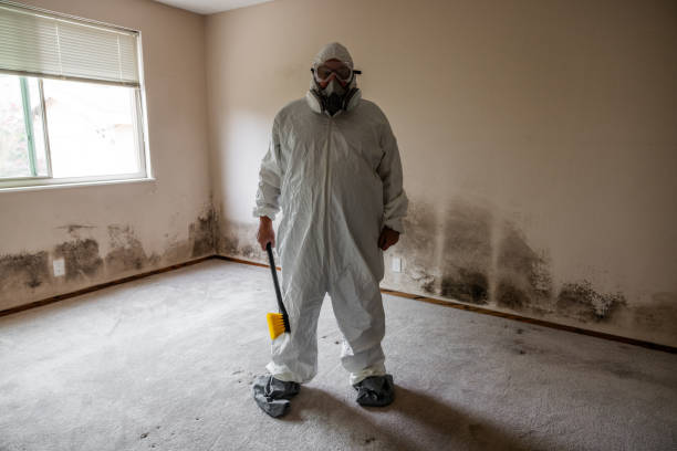 Best Local Mold Removal Service  in Victorville, CA